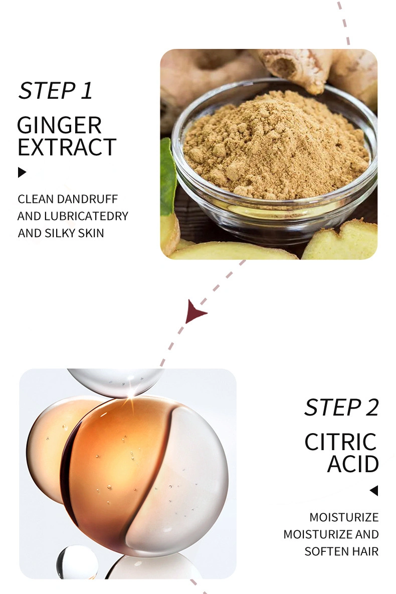 Cleansing and Oil Control Ginger Nutrition Hair Shampoo 100% Natural Shampoo Best Natural Hair Care